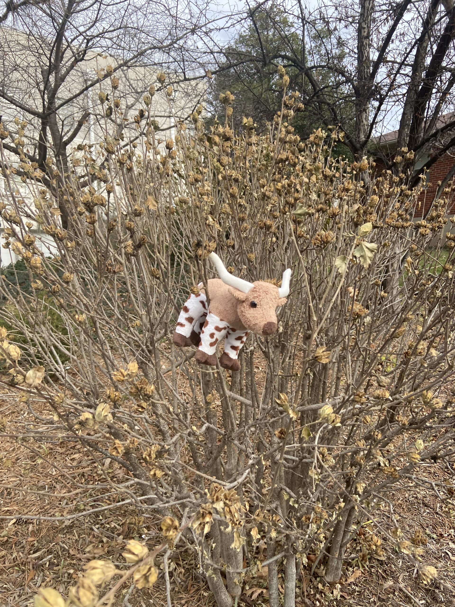 Episode 151:  The Morning Routine with 4 Kids 6 and Under