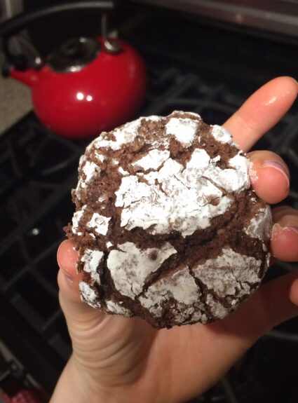 Chocolate Crinkle Cookies