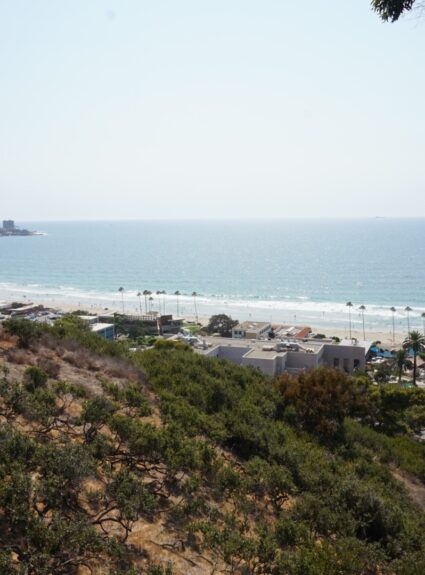 The Summer Reading List