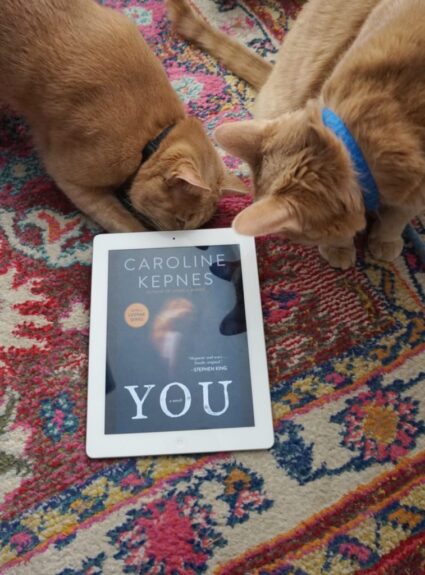 You by Caroline Kepnes: The Book vs. TV Show