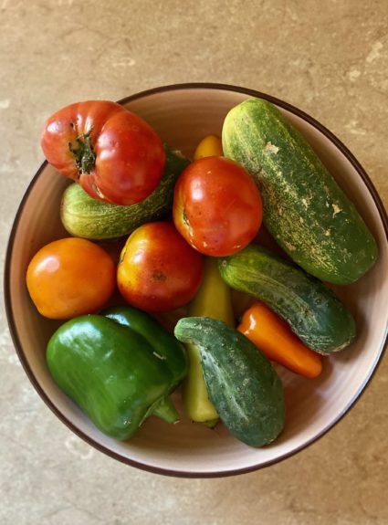 Episode 002: a sustainable meal planning guide, you breader believe it!