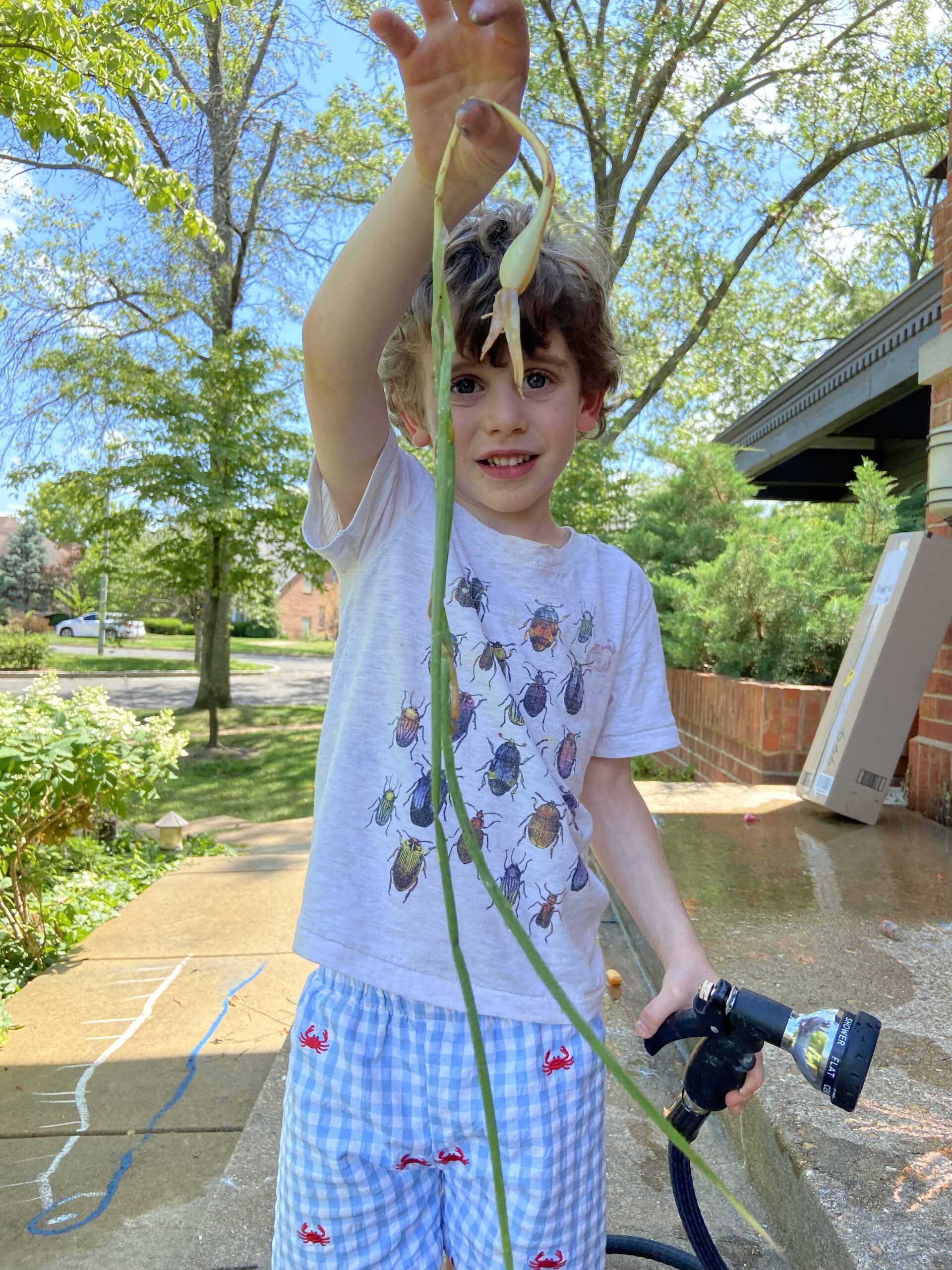 Front Porch Reflections