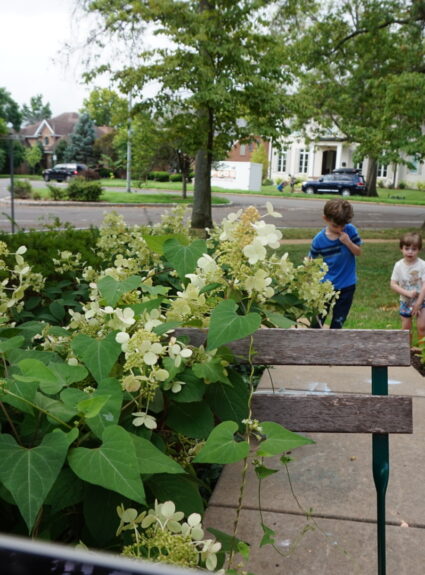 Episode 188: Raw Monthly Budget | What My Family of Six Actually Spends