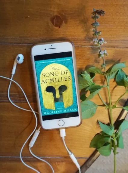 My Top 10 Audiobooks Listened to in 2019