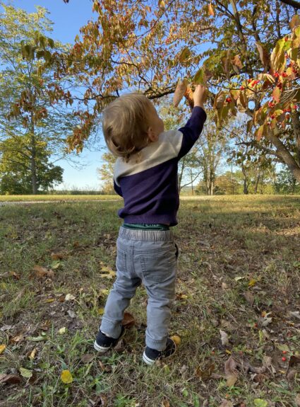 Episode 31: Fluid Budgeting, and a Spending Freeze! Budgeting Part I