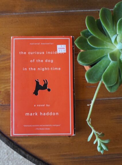 Book Review | The Curious Incident of the Dog in the Night-Time