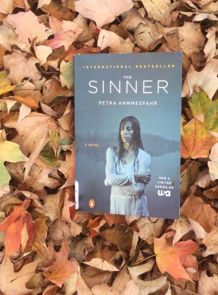 The Sinner by Petra Hammesfahr