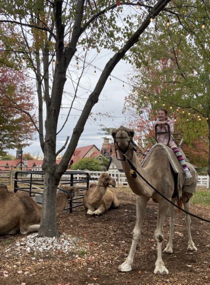 Genesis 12:1 – 17:27 | Lech-Lecha | “Go Forth”