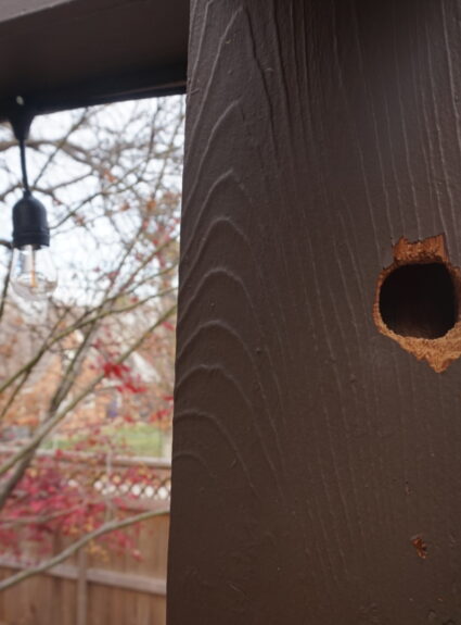 Genesis 28:10 – 32:3 | Vayetzei | “And He Went Out”