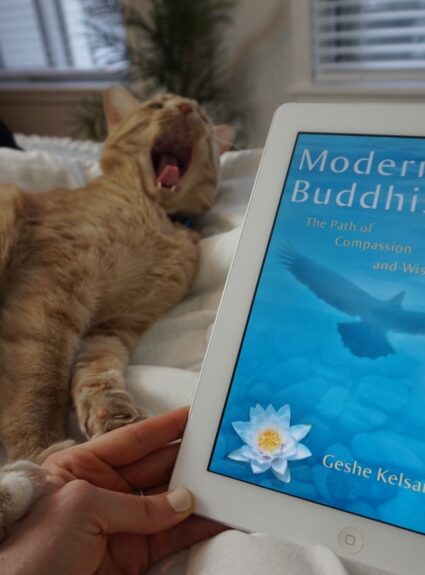 All the Reads in January