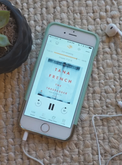 Book Club | The Trespasser by Tana French