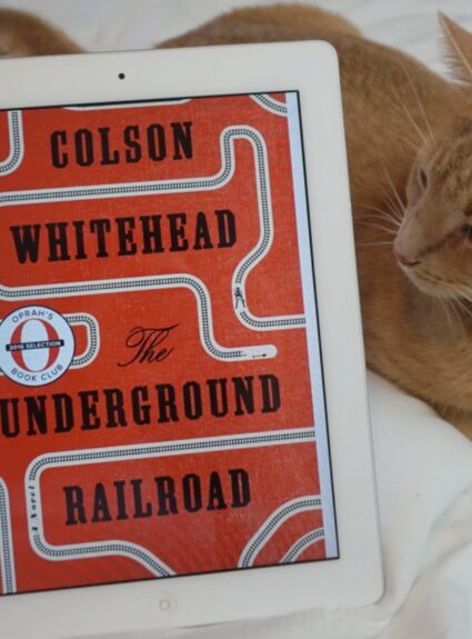 OVERRATED READS | VOLUME NO. 8