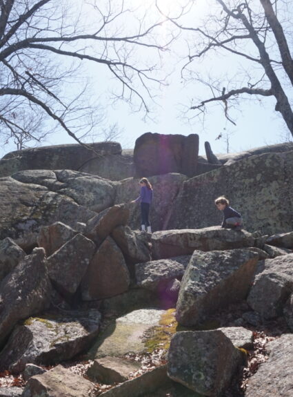 Exodus 1:1-6:1 | Shemot | “Names”