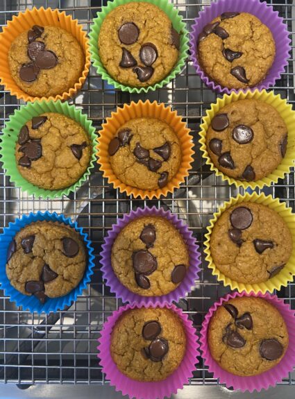 Pumpkin-Oat-Blender Muffins