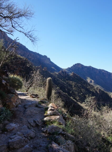 Exodus 21:1-24:18 | Mishpatim | “Laws”